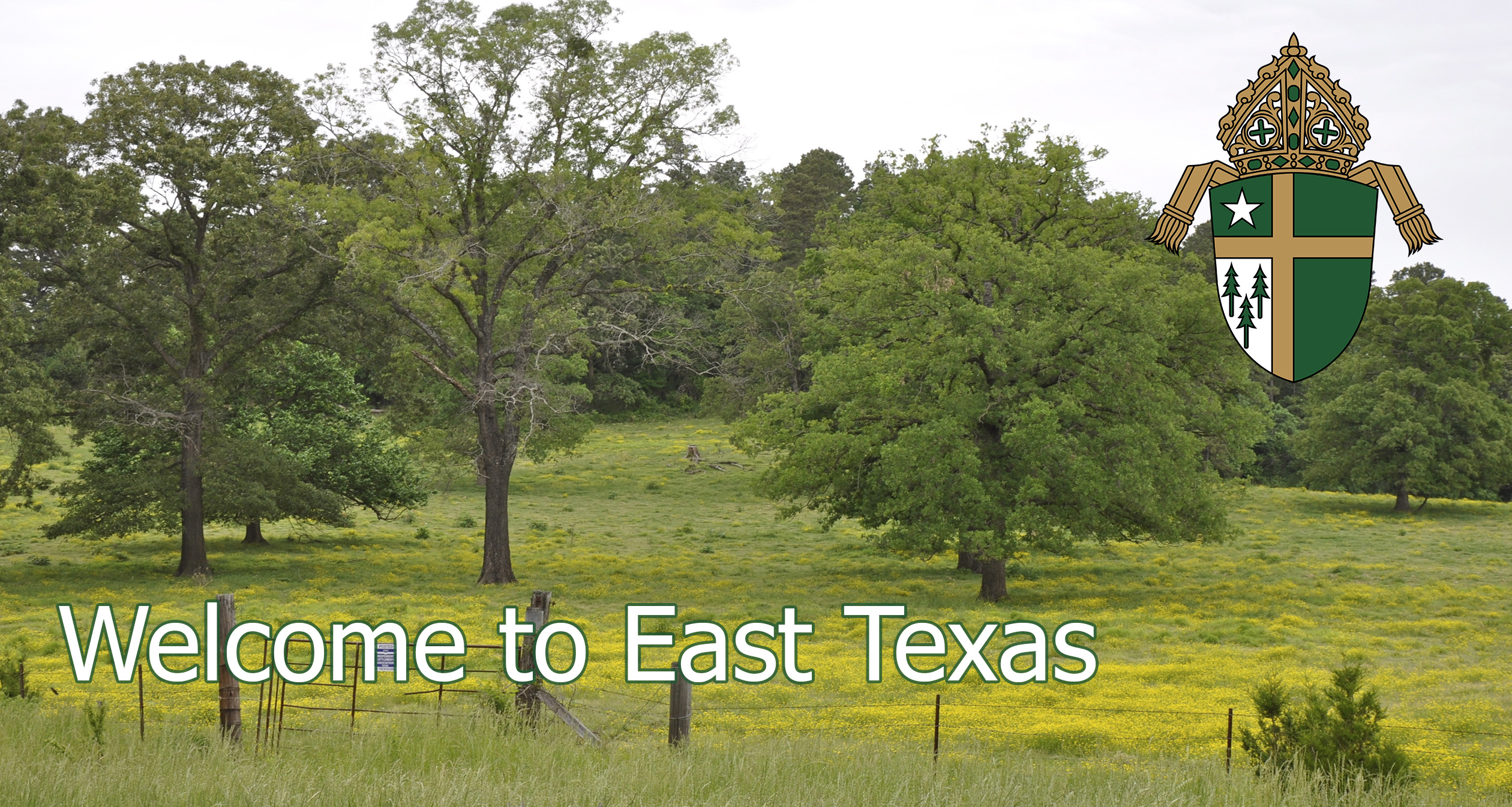 Welcome to East Texas: Message for Newcomers - The Catholic Diocese of ...